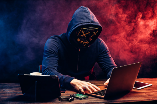 bjorka data protection